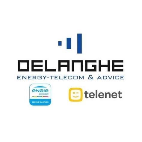Delanghe Energy-Telecom and Advice